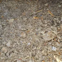 نان خوشک ۲۰ تن دارم