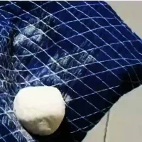 کیسه و سفیداب حمام سنتی