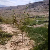 فروش-باغ-در-جوادیه