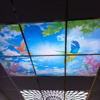 سقف کاذب و کاغذ دیواری|خدمات پیشه و مهارت|بهبهان, |دیوار