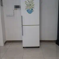 یخچال الجی اصل