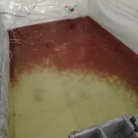 ماهی قرمز|ماهی|قم, شاه ابراهیم|دیوار