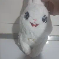 عروسک|اسباب‌بازی بچه|قم, سالاریه|دیوار