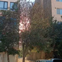 با سودشراکت میخوای سانتافه بخری شریک شو|مشارکت در ساخت املاک|مشهد, مصلی (کارمندان اول)|دیوار