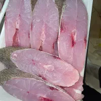 ماهی ومیگو ناخدا عباس ((شهرک فرهنگیان))