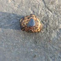 سنگ|جواهرات|چهارباغ, |دیوار