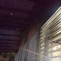 کارگر مرغداری جهت پرورش،مرغ