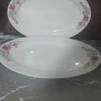 دیس ملامین در حد نونونو