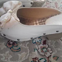 صندل مجلسی|کیف، کفش، کمربند|قم, شهرک سازمان آب|دیوار