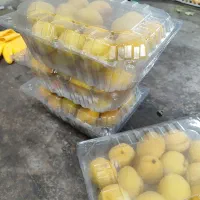 نیرو خانوم زبر زرنگ  بسته بندی میوه
