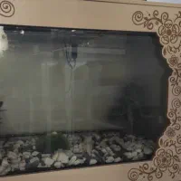 اکواریوم در حدنو|ماهی|قرچک, باقرآباد|دیوار