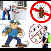 سمپاشی ،ساس، سوسک وتمامی حشرات *تخصصی