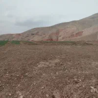 زمین فروشی|فروش زمین و ملک کلنگی|نیشابور, مازول|دیوار