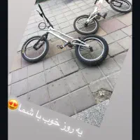 دوچرخه تریال ویوا