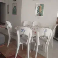 میز بیضی  ۶ نفره  متحرک و ۶ عدد صندلی قشنگ و سالم|میز و صندلی غذاخوری|نور, |دیوار