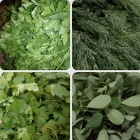 سفارش آماده سازی انواع سبزیجات