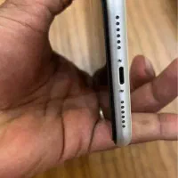 آیفون ۱۱|موبایل|بندرعباس, |دیوار