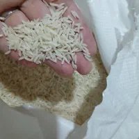 برنج اصل دمسیاه کلات نادر