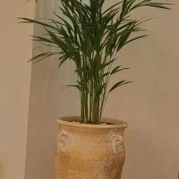 گل و گلدان