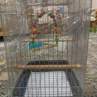 ۲عدد قفس بزرگ