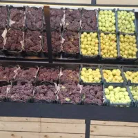 دکوراسیون|فروشگاه و مغازه|باشت, |دیوار