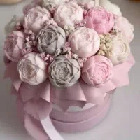 بابونه