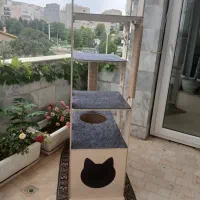 اسکرچر گربه