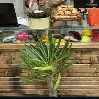 فروش تجهیزات مغازه