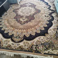 فرش پاتریس|فرش|هشتگرد, فاز ۲ مهستان|دیوار