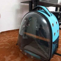 کیف‌طوطی