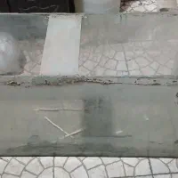 اکواریوم