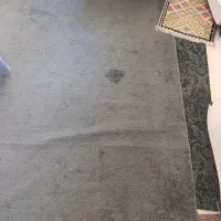 موکت پالاز