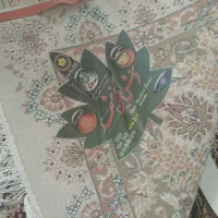 یک تخته فرش۱۲متری