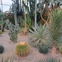 شرکت خدماتی و نظافتی نگین حامی محیط زیست