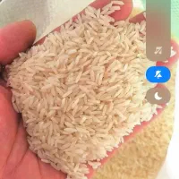 برنج آستانه|خوردنی و آشامیدنی|اشتهارد, |دیوار