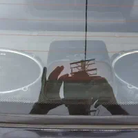 پراید مدل ۸۴ سورمه ای|خودرو سواری و وانت|محمدشهر, شهرک پیام (مهرالبرز)|دیوار