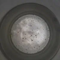 09055096062