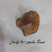 زنجیر،سنگ شجر،چاقو وغیره|کلکسیون اشیاء عتیقه|اصفهان, دستگرده|دیوار