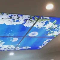 نصاب دیزایین منزل|خدمات پیشه و مهارت|شوشتر, |دیوار