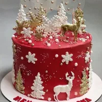 پینار کیک مراغه|خدمات پذیرایی، مراسم|مراغه, |دیوار