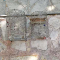 قفس|لوازم جانبی حیوانات|شیراز, پودنک|دیوار