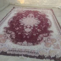 فرش۱۲متری|فرش|گرگان, |دیوار