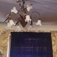 دوجفت لوستر گل لاله|لوستر و چراغ آویز|تهران, انبار نفت|دیوار