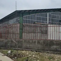 کارخانه بسته بندی حبوبات،کشک دارای انجمن  سلیاک