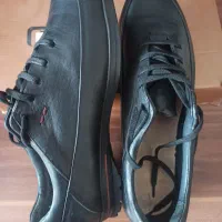 کفش چرم|کیف، کفش، کمربند|اراک, |دیوار