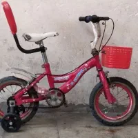 دو دستگاه دوچرخه 12|دوچرخه، اسکیت، اسکوتر|مریوان, |دیوار