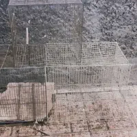 قفس پرنده سالم|لوازم جانبی حیوانات|مشهد, محمدآباد|دیوار