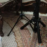 سنتور درجه یک همراه با پایه|سازهای سنتی|تبریز, |دیوار