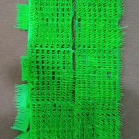 aquarium|ماهی|قم, بنیاد|دیوار