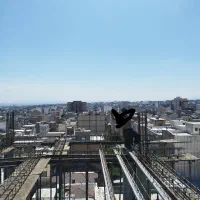 ارماتور بندی|خدمات پیشه و مهارت|کرمانشاه, |دیوار